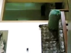 বাঁড়ার এশিয়ান বড়ো পোঁদ বাংলা চুদাচুদির ভিডিও