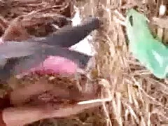 সঙ্গে বাংলা ডাইরেক চুদাচুদি বটিকা মেশিন