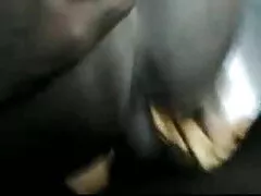 সুন্দরী বাংলা চুদাচুদির কাহিনী বালিকা