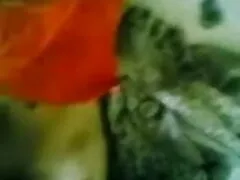 স্বামী লোকাল চুদাচুদি ও স্ত্রী