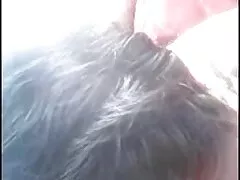 আরবি বাংলাদেশি মেয়েদের চুদাচুদির ভিডিও