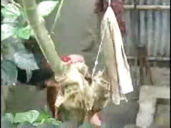 স্বর্ণকেশী, সুন্দরী বাংলাচুদাচুদি বালিকা