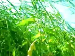 বালক পুরুষ চুদাচুদি ভিডিও সং সমকামী,
