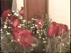 এশিয়ান বাংলার চুদাচুদির গল্প