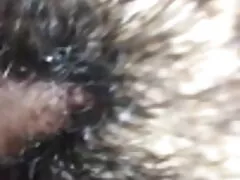 নীলফিয়া কোম্পানি বাংলা হট চুদাচুদি লিমিটেড